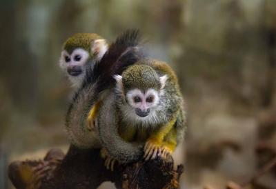 Прикрепленное изображение: IMG_7204м.jpg